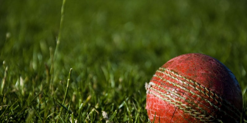 2026年世界杯举办城市与体育场馆信息图示